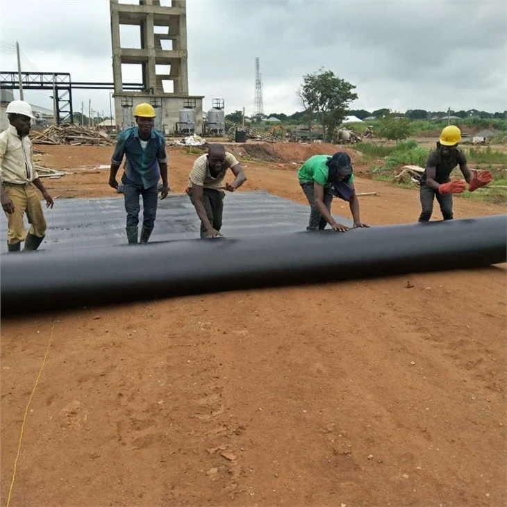 0.3 mm HDPE-Geomembran für Aquakulturprojekt in Sri Lanka